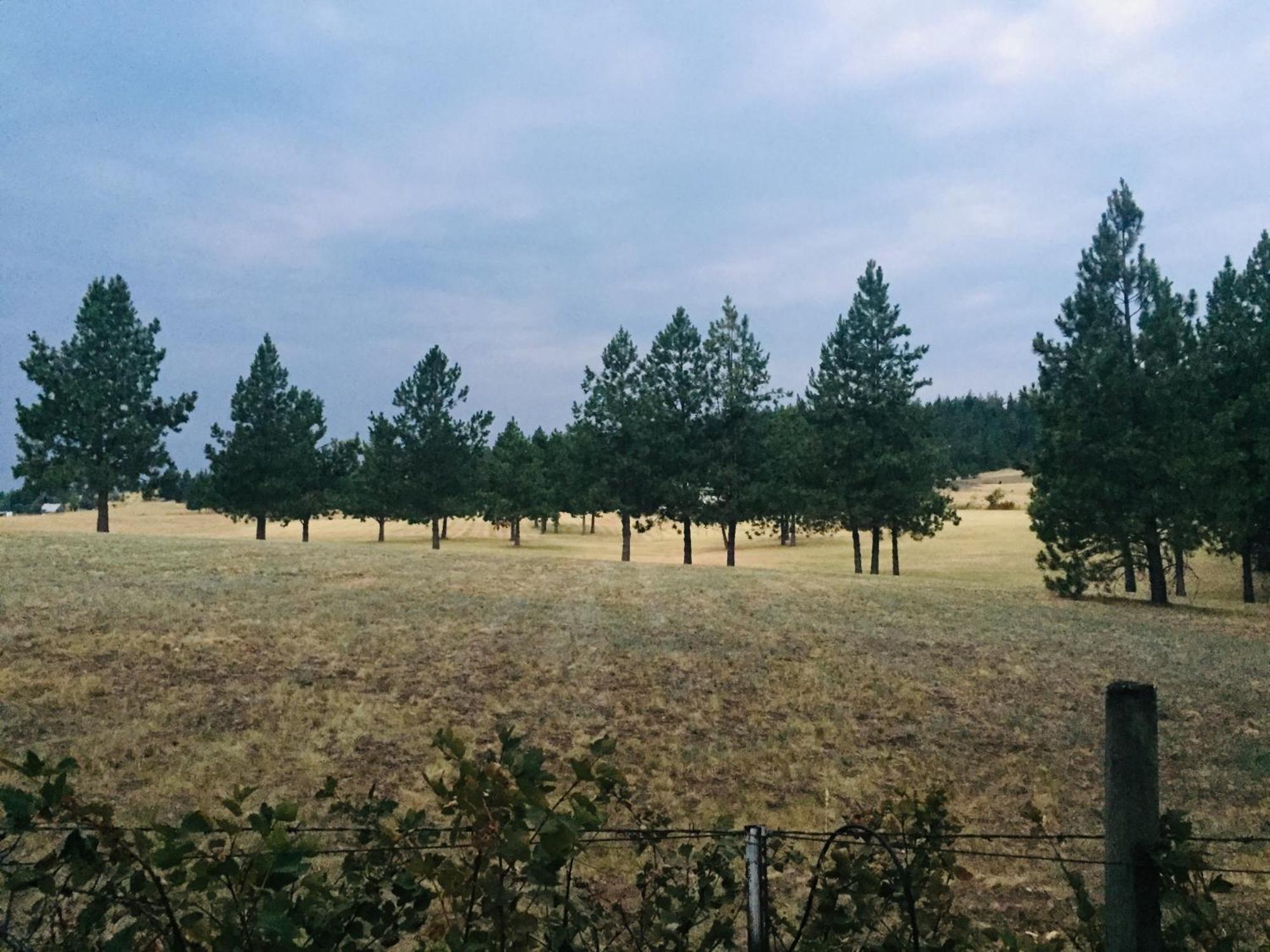 The Silverwood Lodge Athol Buitenkant foto